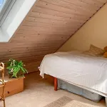 2 Bedroom Gorgeous In